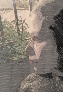 PicsArt_1433904385690